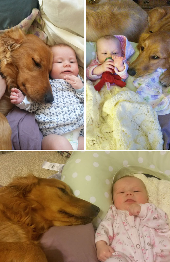 I'm Starting To Think That My Dog Thinks That My Baby Is Actually Her Baby