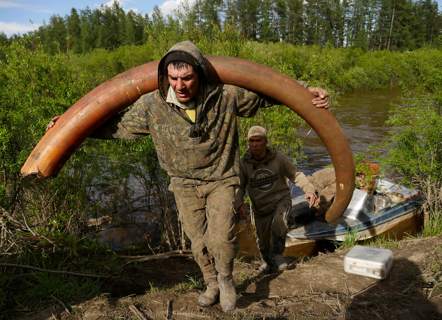 Photographer Joins Illegal Mammoth Tusk Hunt In Siberia, Captures How They Get Rich, Get Drunk And Nearly Die