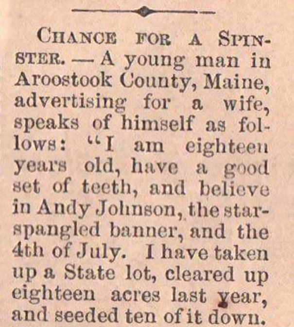 18-Year-Old Guy Is Looking For A Wife In 1865 And His Newspaper Ad Will Make You Want To Marry Him Now
