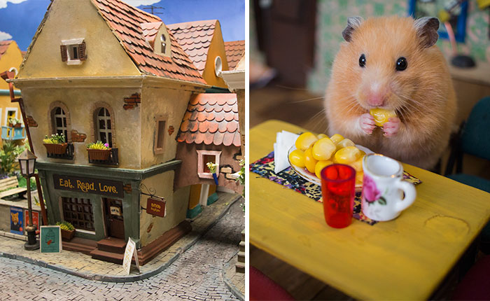 It Took Us 1984 Hours To Create This Miniature Town For Hamsters