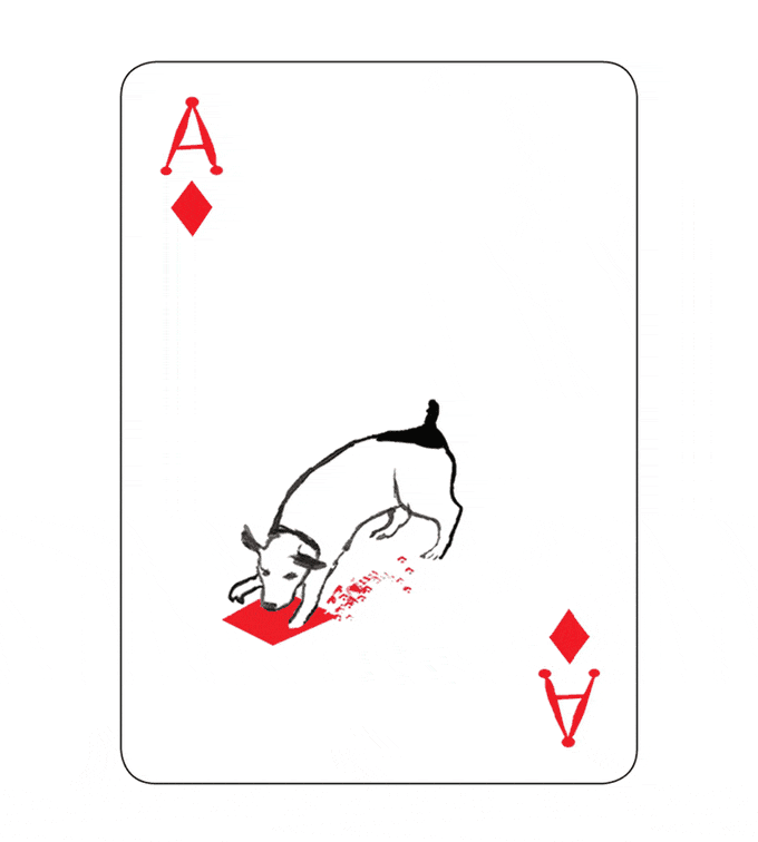 pack-of-dogs-playing-cards-john-littleboy-1