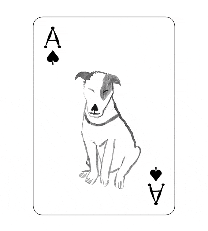 These Dog Playing Cards Have The Most Awesome Illustrations Ever