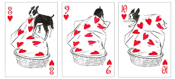 pack-of-dogs-playing-cards-john-littleboy-17