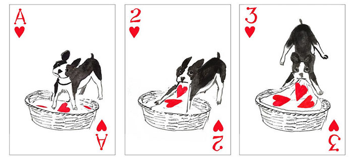 pack-of-dogs-playing-cards-john-littleboy-18
