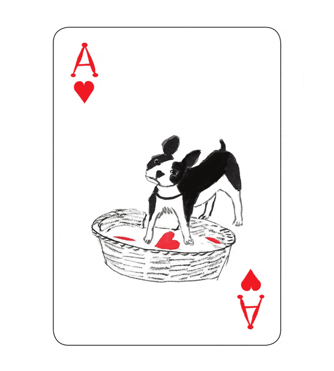 pack-of-dogs-playing-cards-john-littleboy-7
