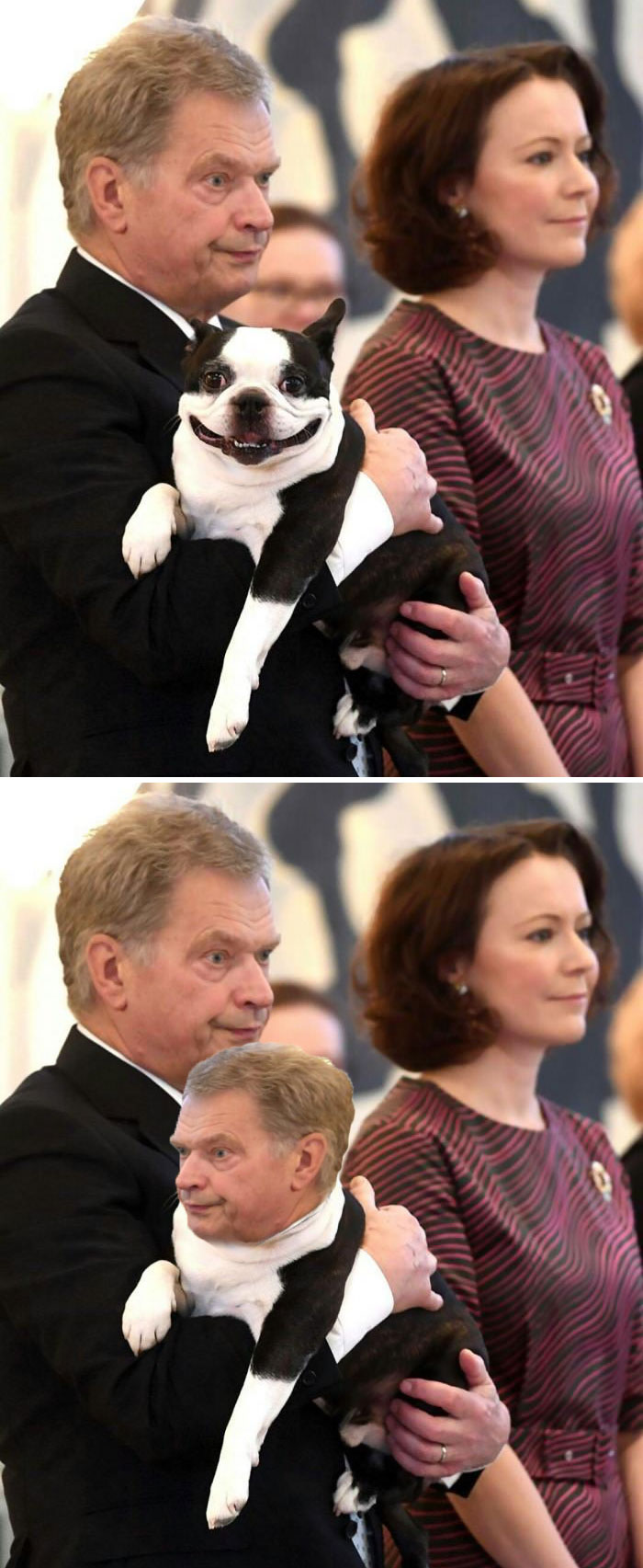The Finnish President And His Dog