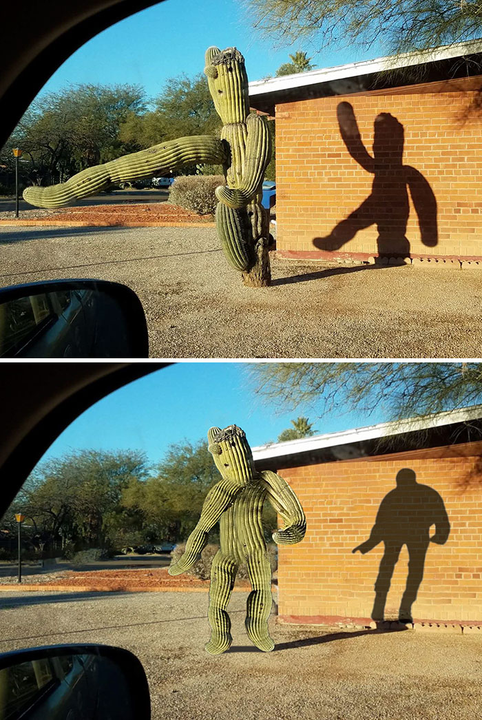 Dancing Cactus Shadow Photoshop Battle