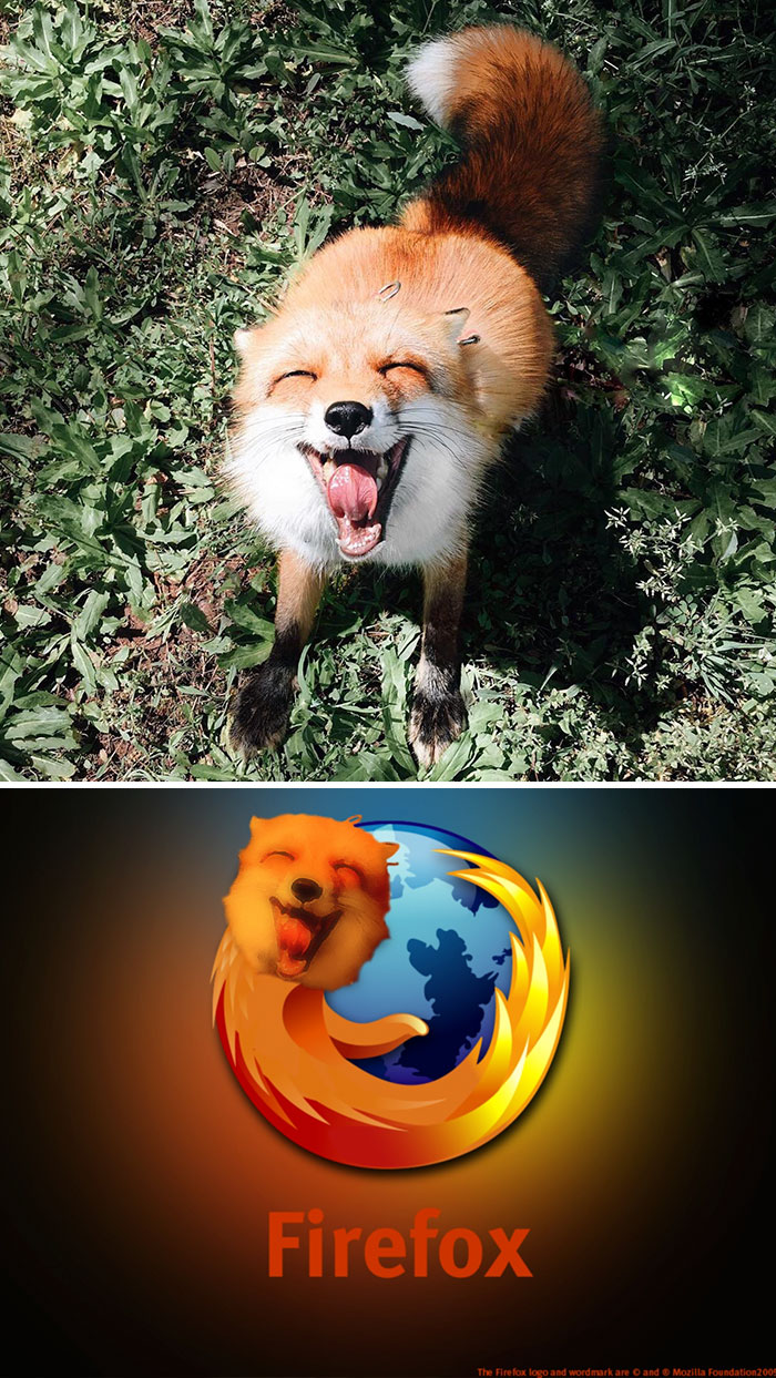 Very Happy Fox Photoshop Battle
