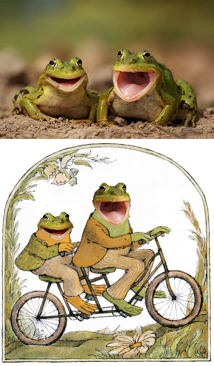 Frog And Toad