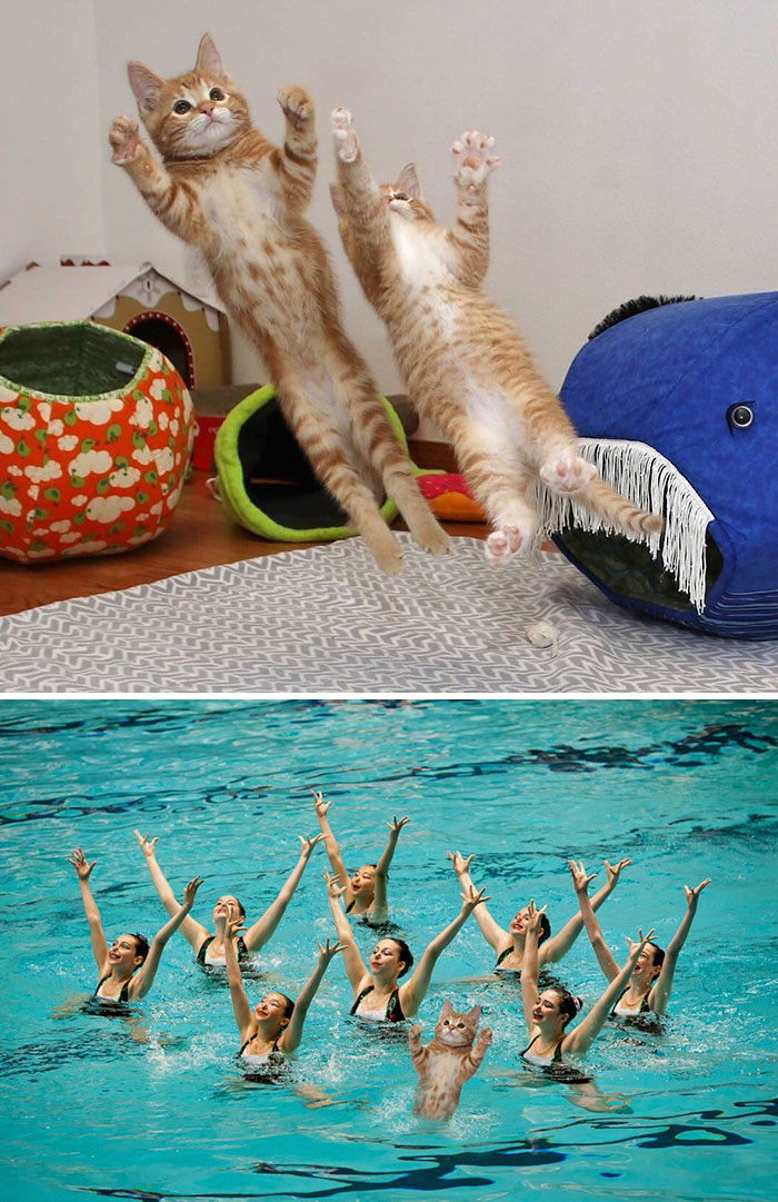 Professional Synchronize Swimmer