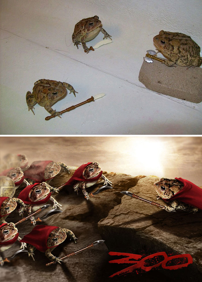 Battle Toads