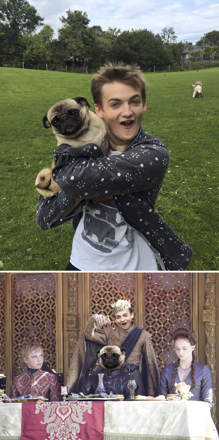 Joffrey Hugs Pugs