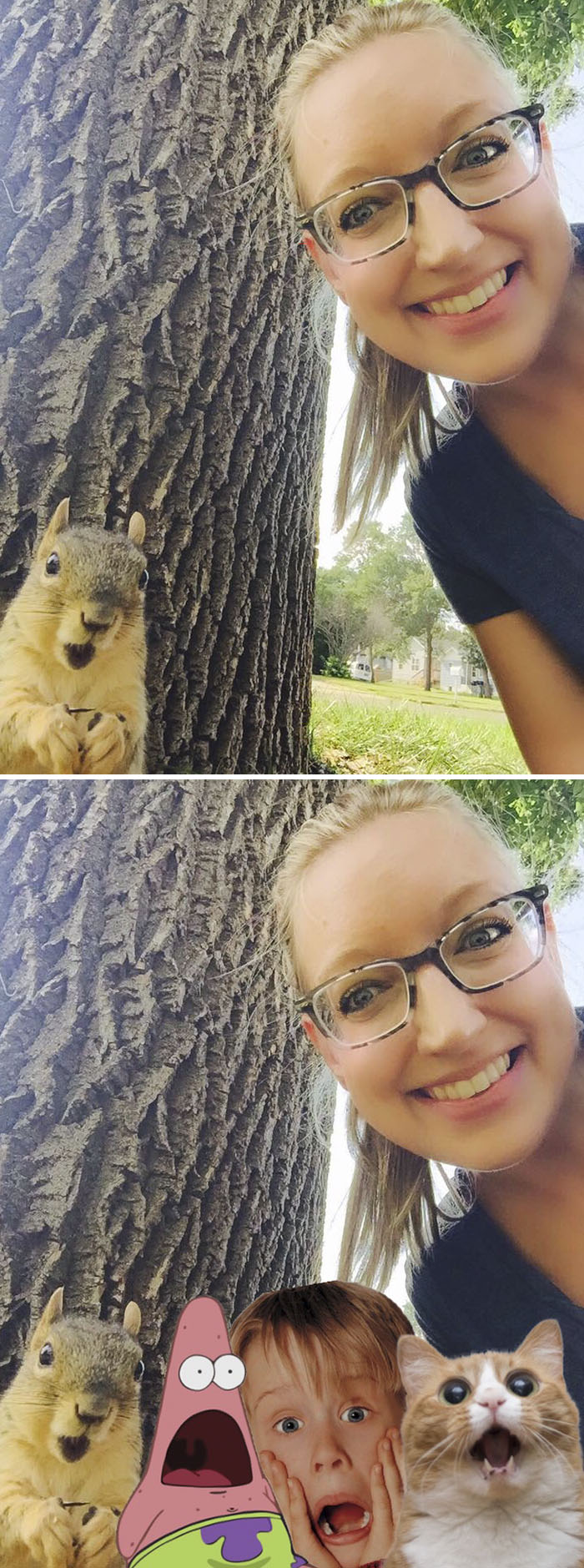 A Squirrel Surprised By A Selfie