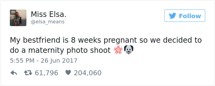 This Pregnant Dog Just Had A Maternity Photoshoot, And People Just Can't Handle It