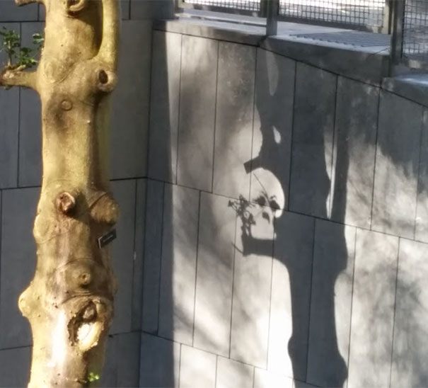 Found This Skull While Walking Through Campus Today