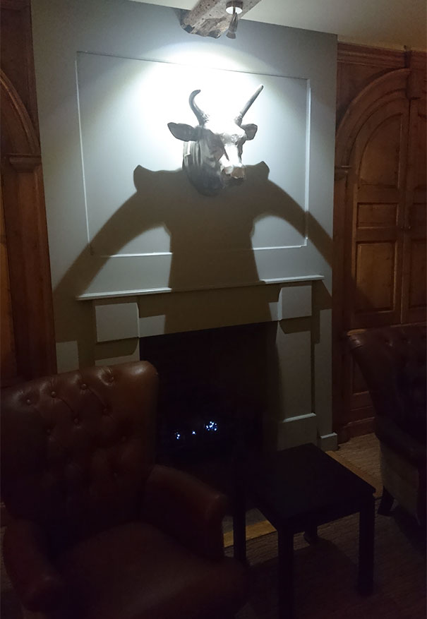 The Shadow From This Mounted Bulls Head Looks Like It Has A Human Body