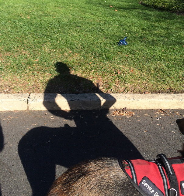 My Dog's Shadow Turned Me Into A Centaur