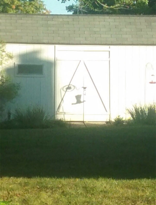 This Shadow On My Neighbour's Shed Looks Like A Dog Face With A Monocle