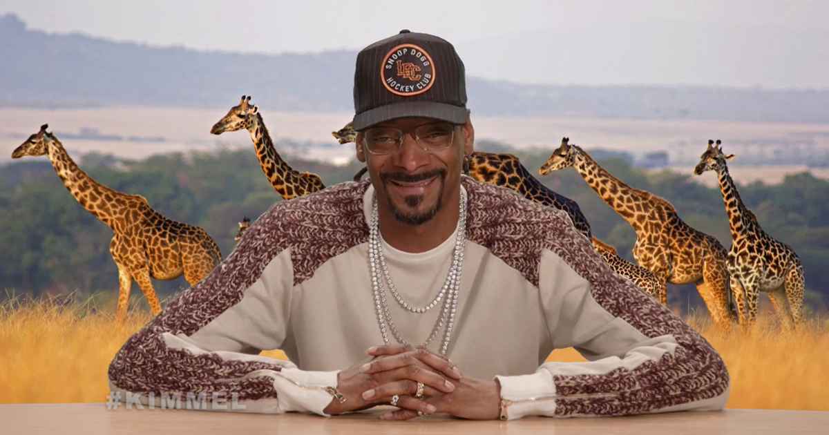 Snoop Dogg Narrates The Famous Baby Iguana Chase Scene From 'Planet Earth'  , And It's Hilarious | Bored Panda