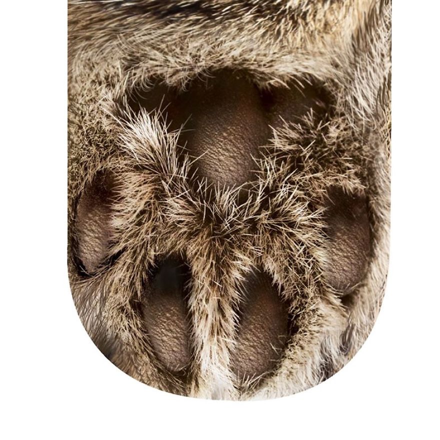 Realistic Animal Socks Will Make You Look Like You Have Animal Paws