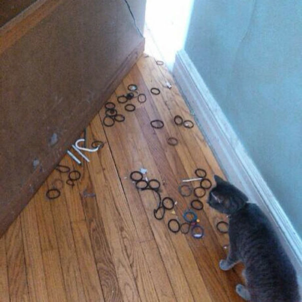 So This Is Where All The Hairties Went