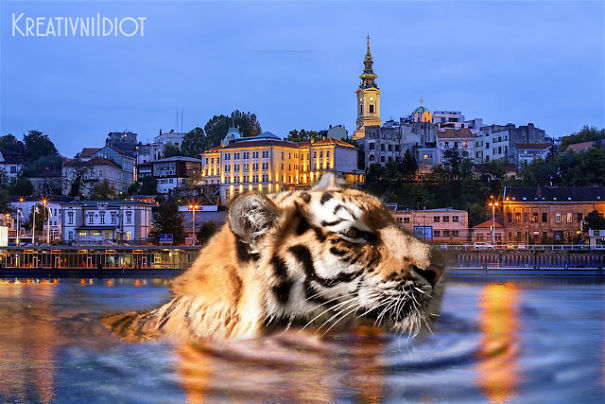 Belgrade Takeover Belgrade Takeover