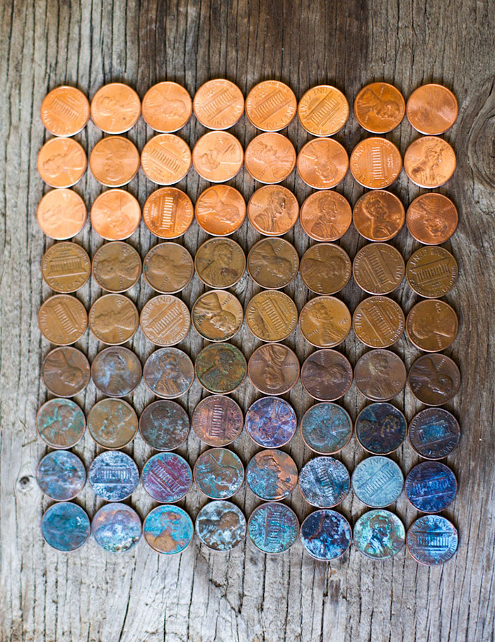 The Life Cycle Of A Penny