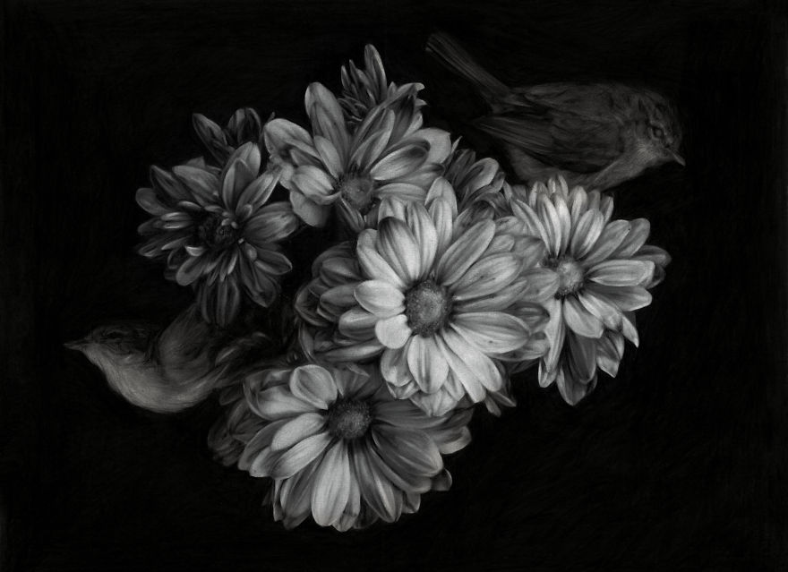 I Found This Pencil Artist Called Jossluka !