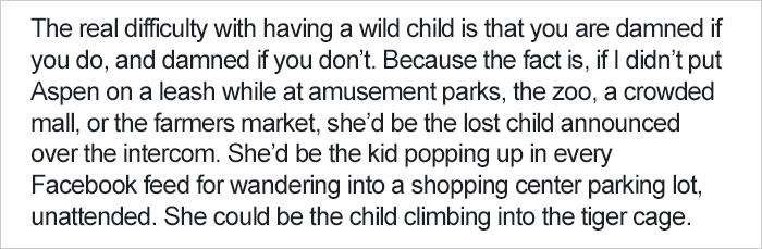 Dad's Explanation Why He Puts His Toddler On A Leash Goes Viral, And He Has A Point