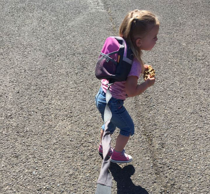 Dad’s Explanation Why He Puts His Toddler On A Leash Goes Viral, And He Has A Point