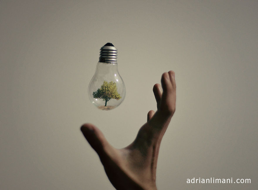 My Photo Project 'Life Inside A Light Bulb'