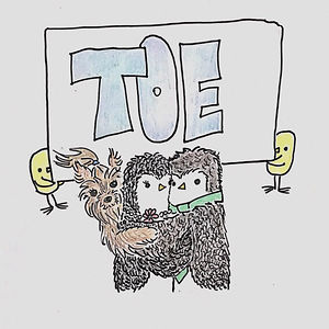 the_T_O_E