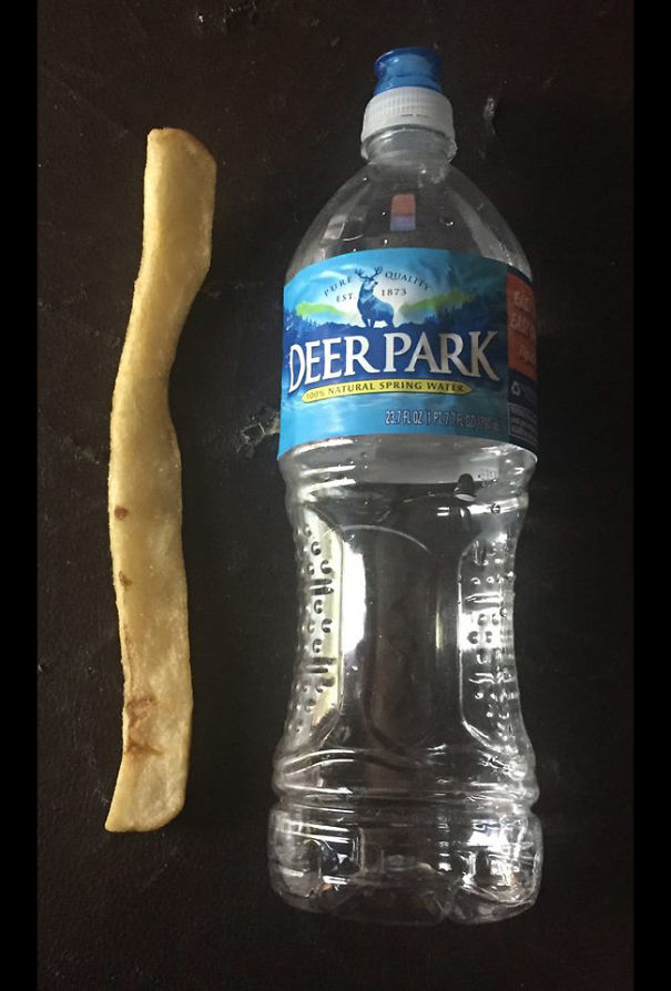 Giant French Fry (water Bottle For Scale)