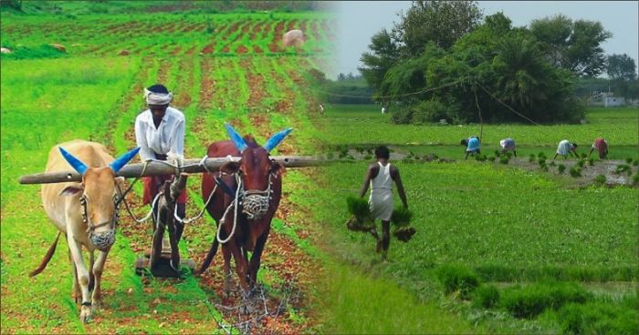 Indian Farmers