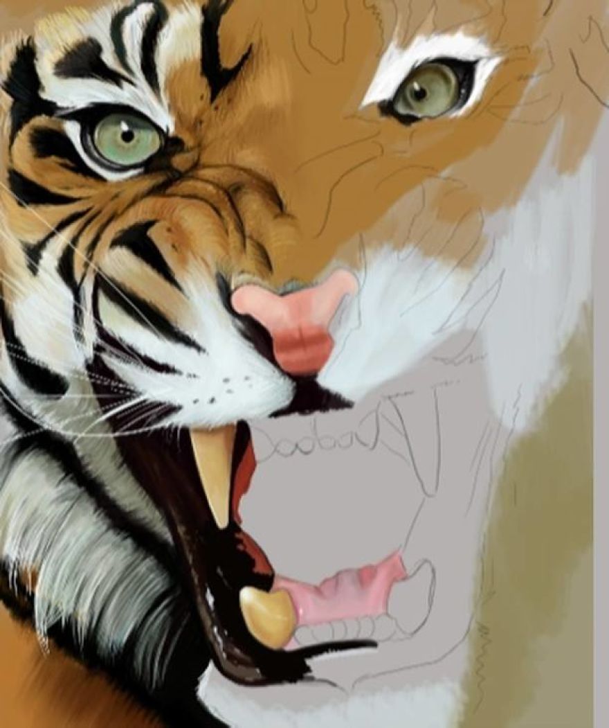 I Am A Self Taught Graphic Designer Form Albania I Am A Self Taught Graphic Designer Form Albania