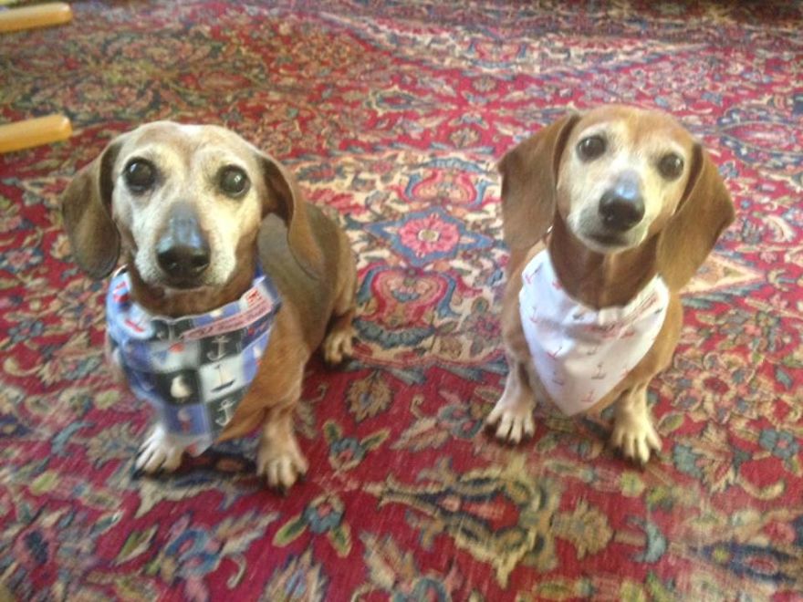 Rommel, 13, And Toby, 12, Show Off Their New Bandanas; Richmond, Va
