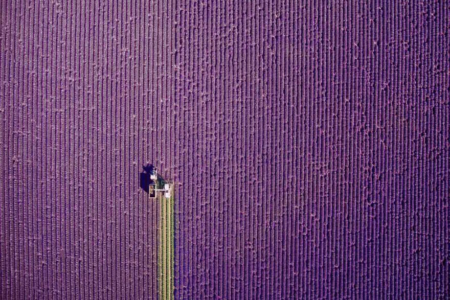 The Best Photos Taken By Drones In 2017