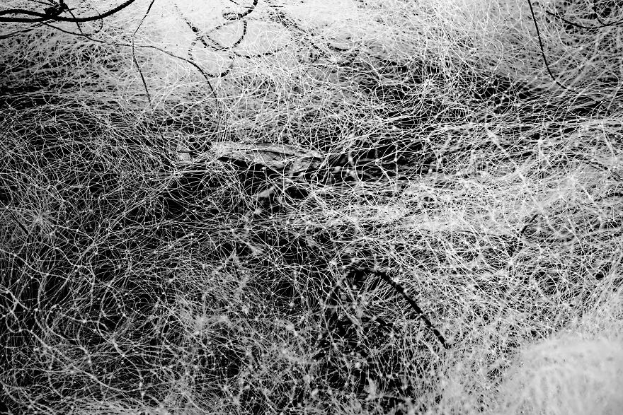 Nets Like Infinite Thoughts .