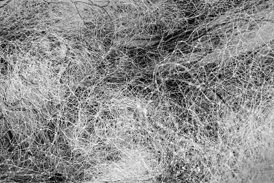 Nets Like Infinite Thoughts .