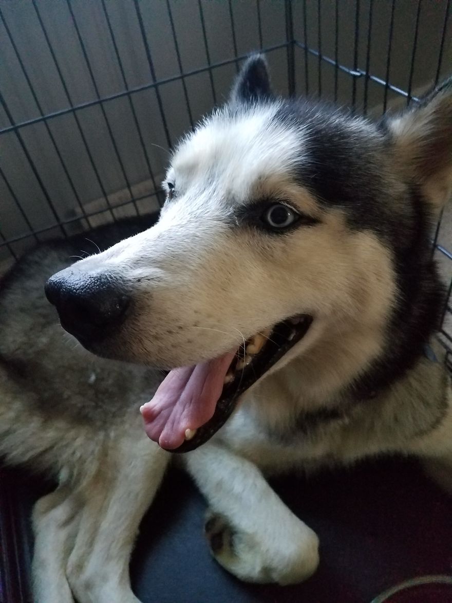 Fostering For A Better Tomorrow