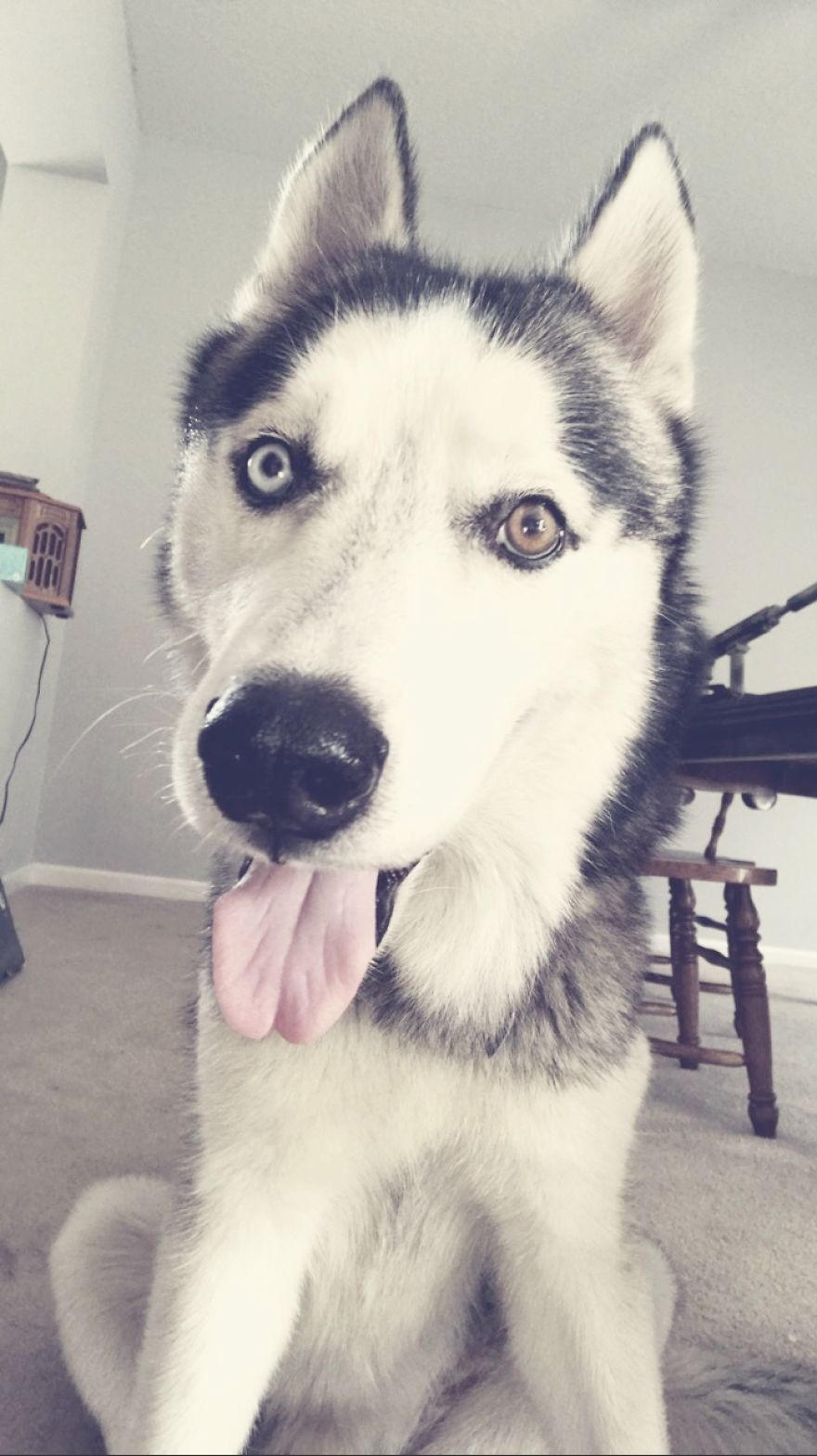 Axel Update Axel Update