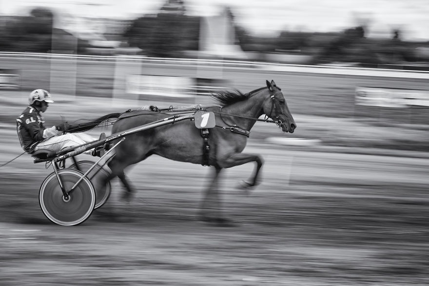 I Visit The Jekerhippodrome In Tongeren, Belgium, To See The Horse Races And Capture Its Strange Atmosphere