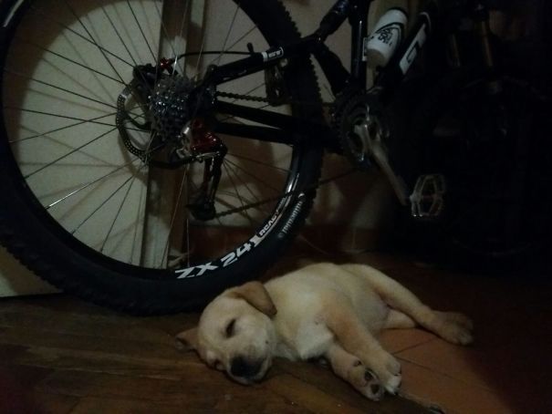 I Will Guard Your Bike, You Can Go To Sleep! Don't Worry, I Will Keep My Eyes On Her! :d