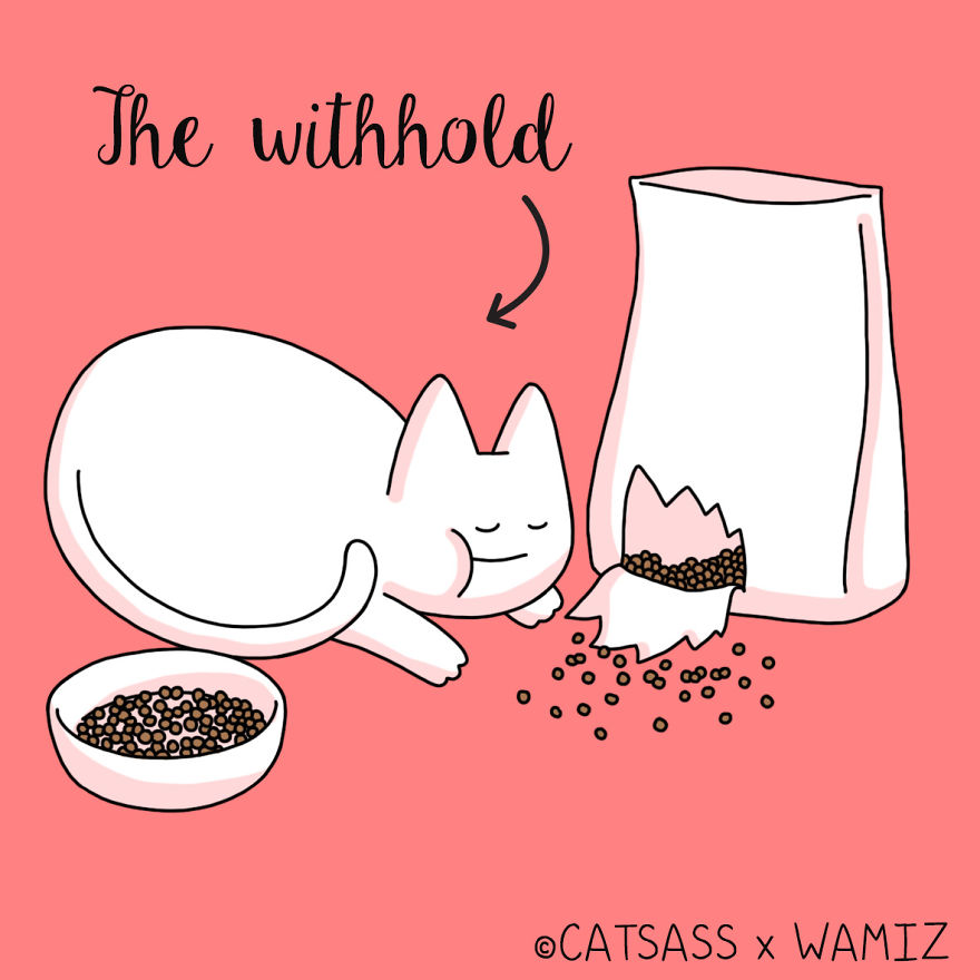 What Kind Of Eater Is Your Cat?