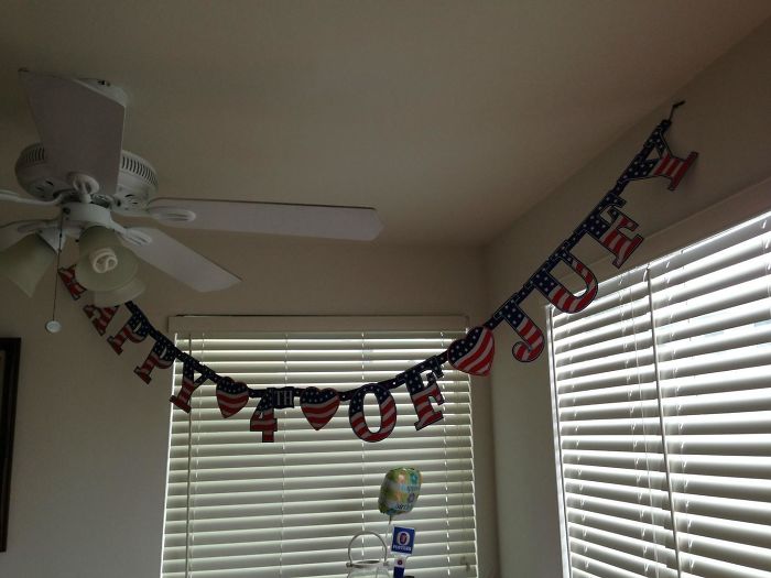 Girlfriend Bought 4th Of July Decorations At The Dollar Store. Look What We Got...