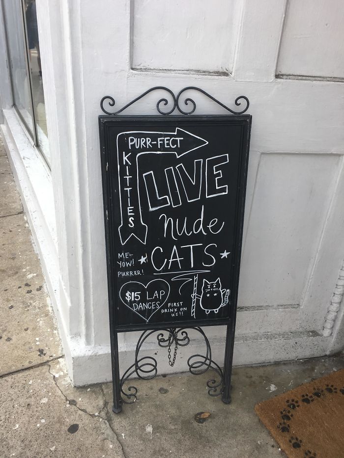 Sign For A Cat Cafe