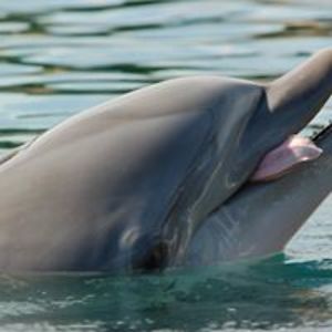 karen_haddon1 avatar