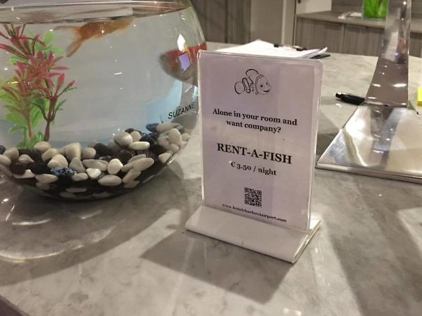 You Can Rent A Fish For The Night To Keep You Company In This Hotel