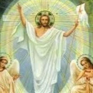 ngocyntranginh avatar