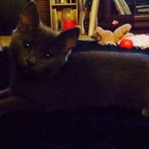 caitlin_haxby avatar